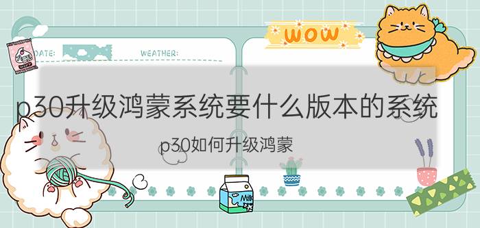 p30升级鸿蒙系统要什么版本的系统 p30如何升级鸿蒙？